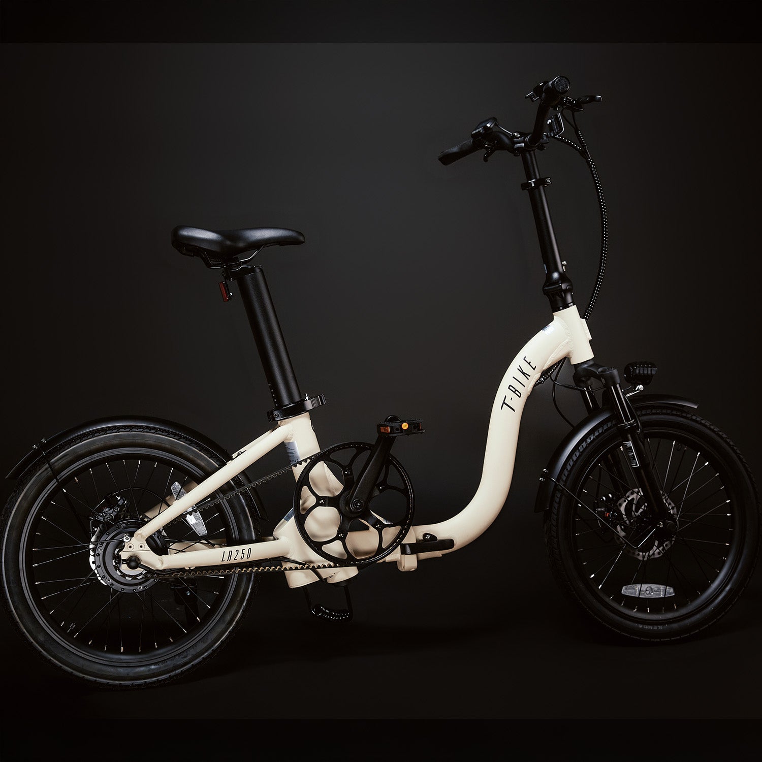 LR250 Low-Rider Opvouwbare Elektrische Fiets – Turkoois