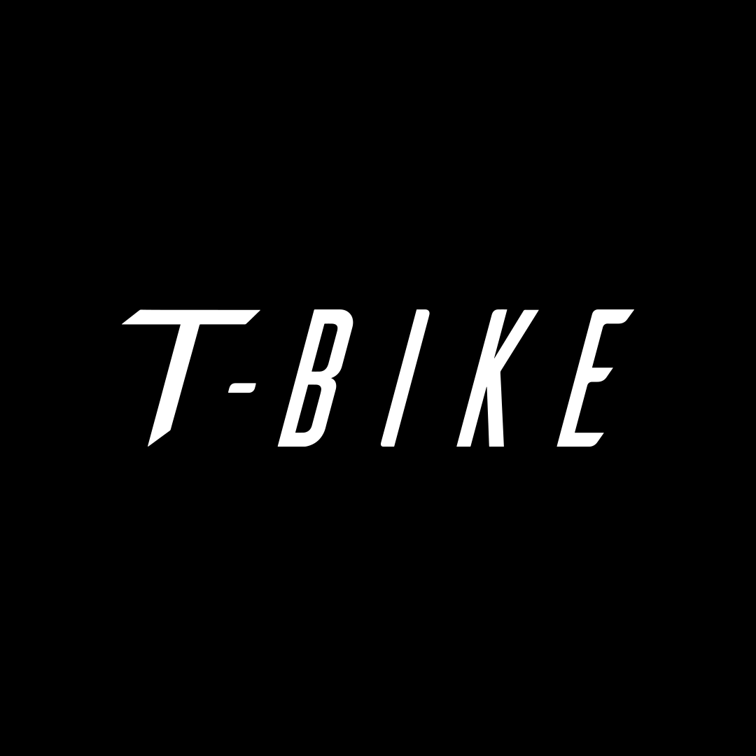 T-Bike Frameaccu City250