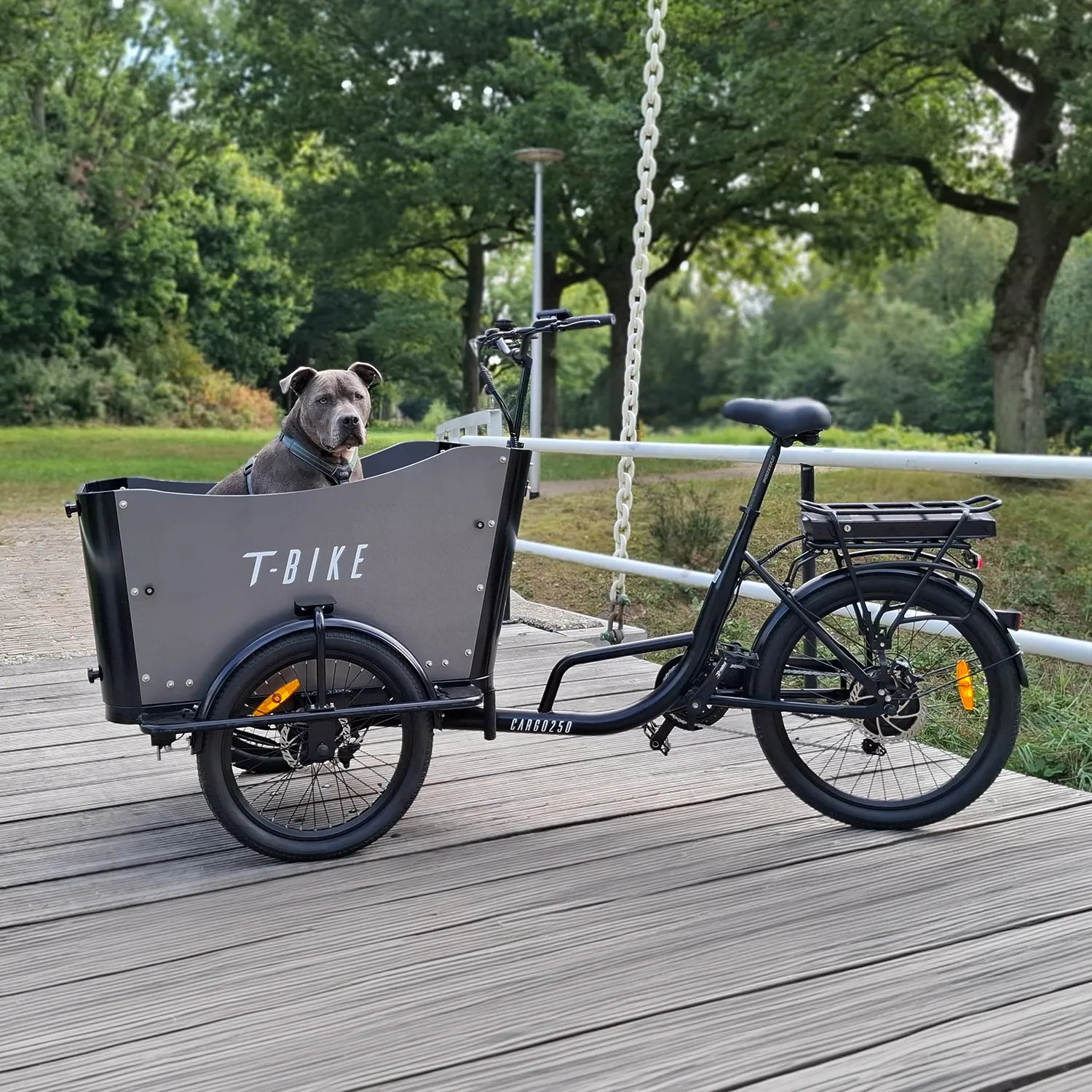 CARGO250 Opvouwbare Elektrische Fiets