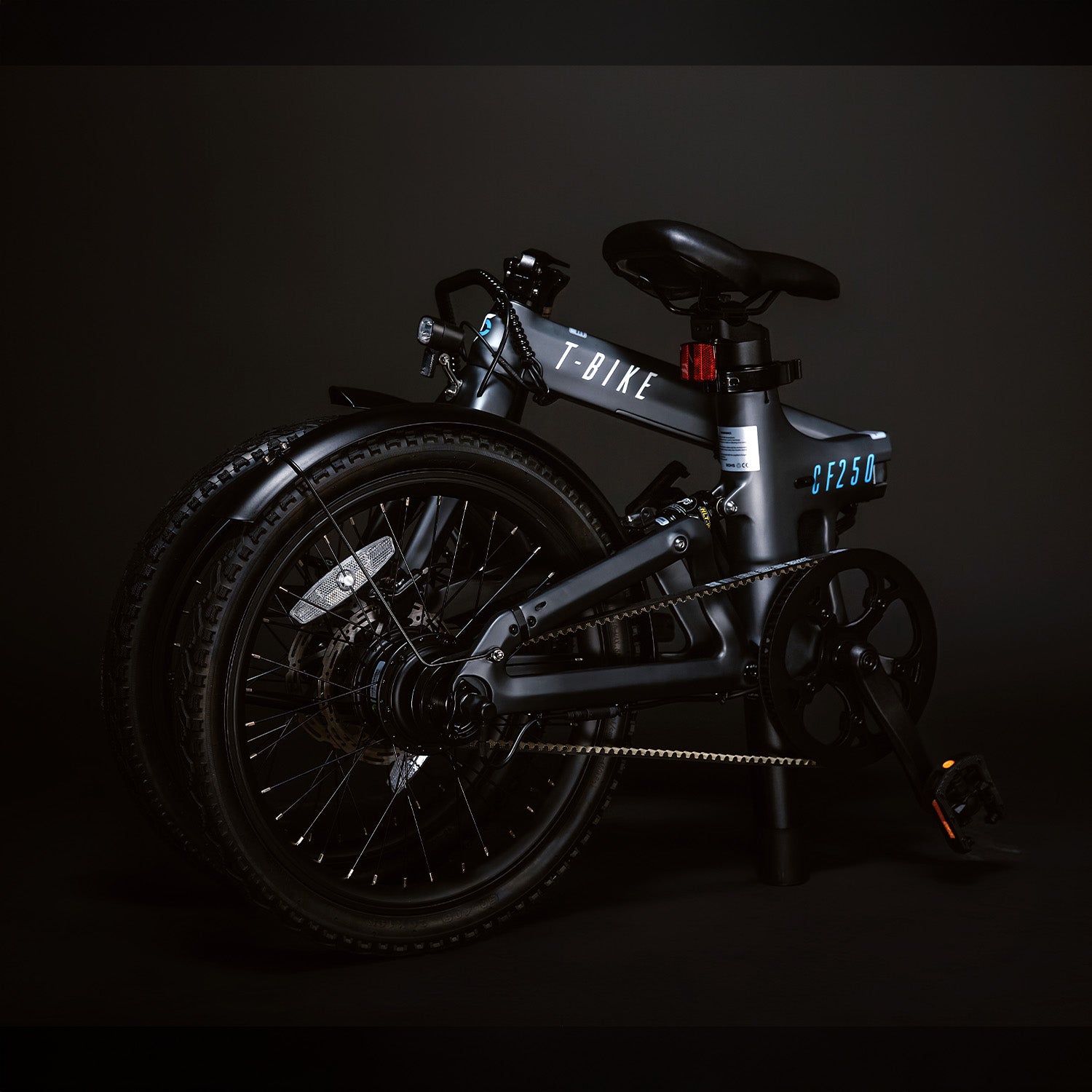 GEREVISEERD – CF250 Opvouwbare Elektrische Fiets